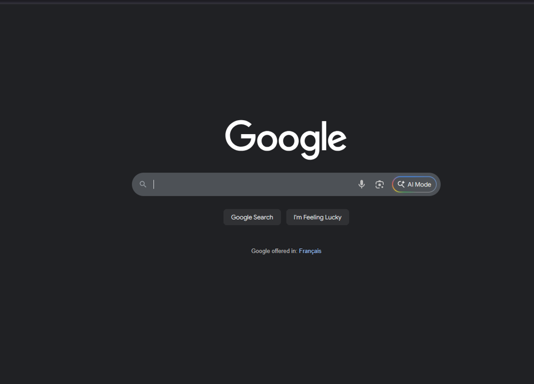 The Google Search Website